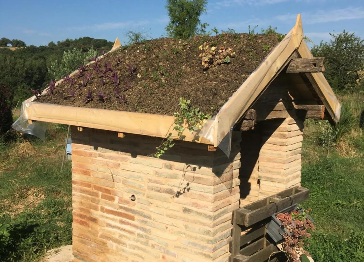Aux Roses De Cedres Panzió Salvagnac