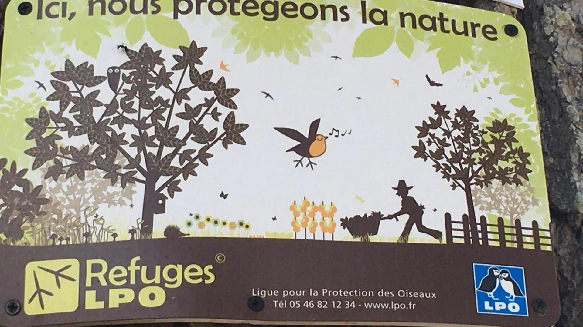 Aux Roses De Cedres Panzió Salvagnac Franciaország